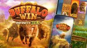 buffalo win